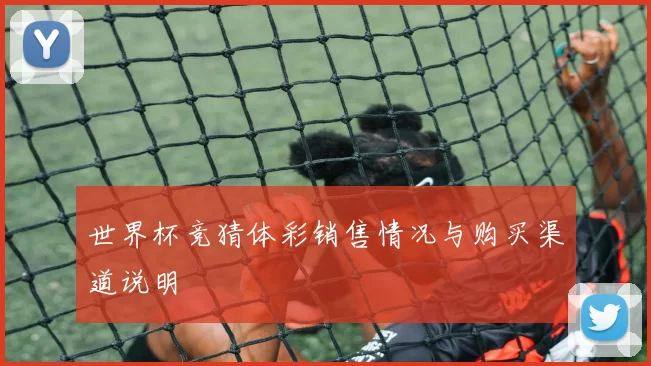 世界杯竞猜体彩销售情况与购买渠道说明