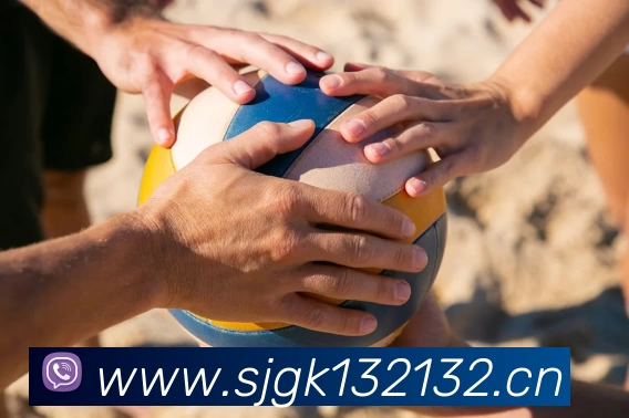 App Interface Preview